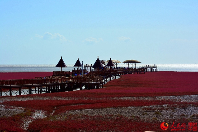 ???? ? ? ?? ??, ?? ????? ??? ‘?? ??’