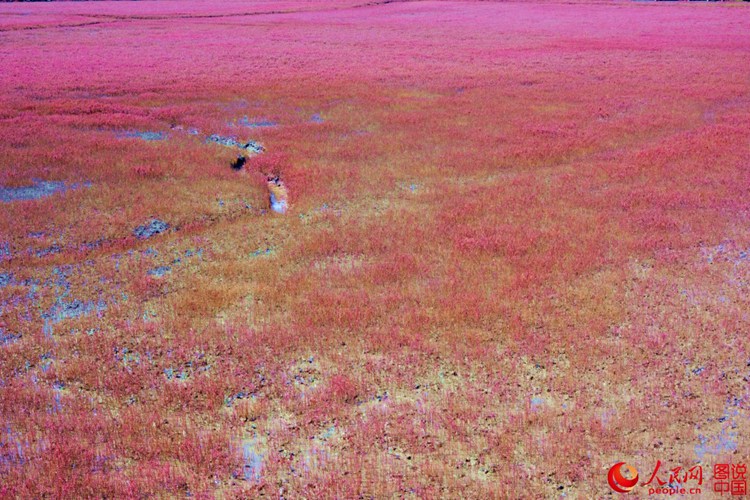 ???? ? ? ?? ??, ?? ????? ??? ‘?? ??’