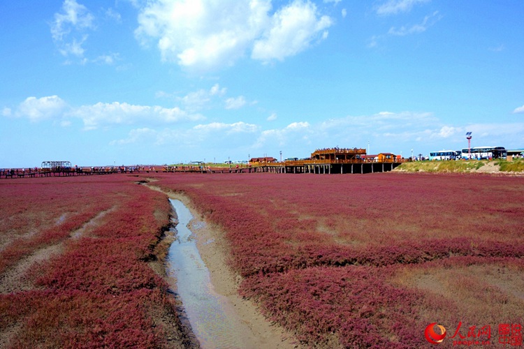 ???? ? ? ?? ??, ?? ????? ??? ‘?? ??’