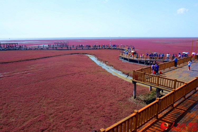 ???? ? ? ?? ??, ?? ????? ??? ‘?? ??’