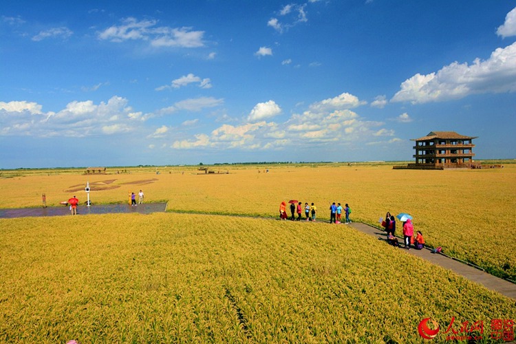 ???? ? ? ?? ??, ?? ????? ??? ‘?? ??’