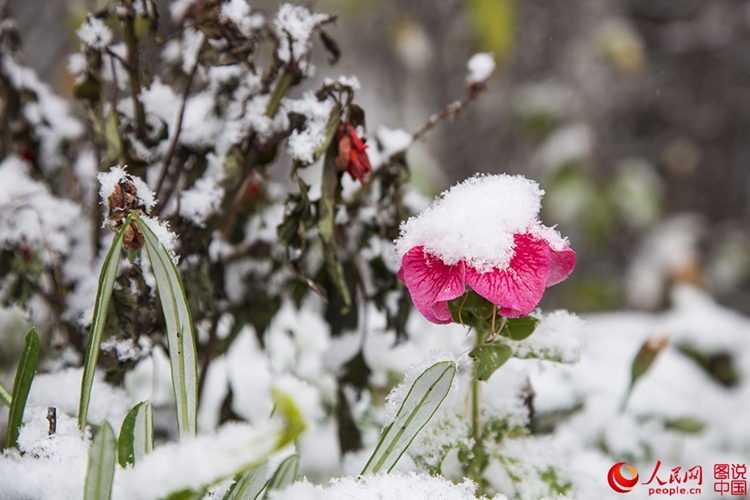 ???? ?? 9?? ? ??…??? ? ?? ?? ???