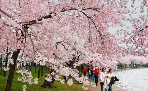 ‘?? ??? ??’ ?? ?? ‘?? ??’ ???