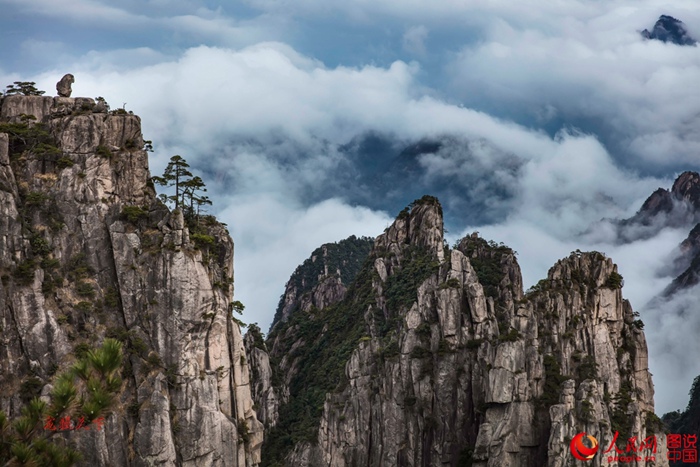 ???? ???, ??? ???? ??? ??? ??