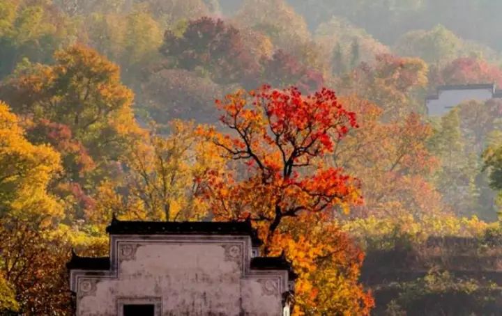 ??? ???? ??? ???, ??? ?? ? ????