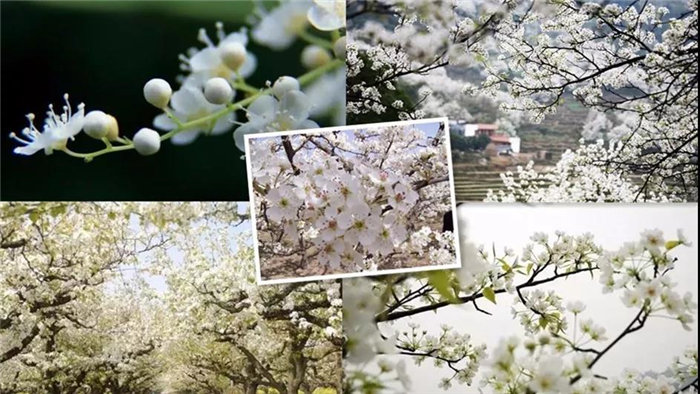 ???, ???? ???? ? ??…???? ? ???? ? ??