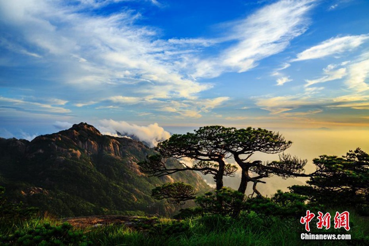 ?? ??? ???? ??? ??, ??? ??? ????