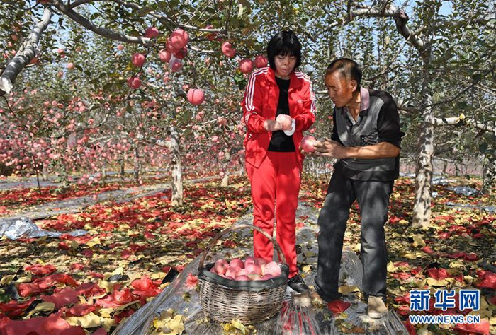 中 ?? ???? ????? ???? ??? ??? ??? 