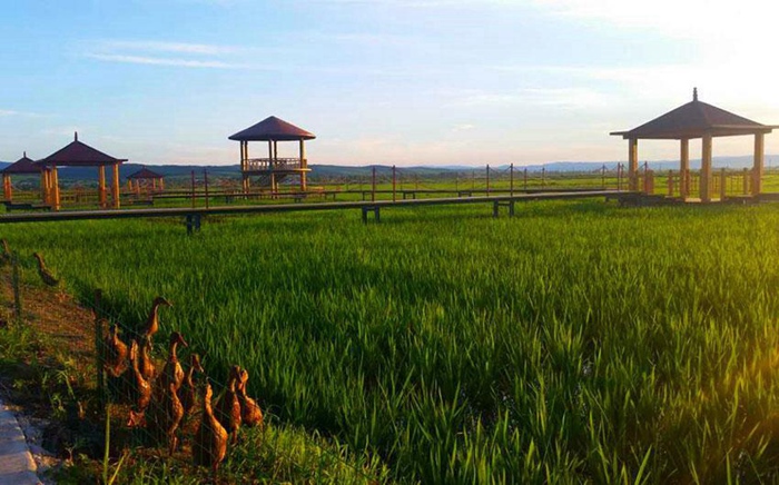 ???? ??? ?? ??? ?? ??, ?? ??? ?? ‘???’