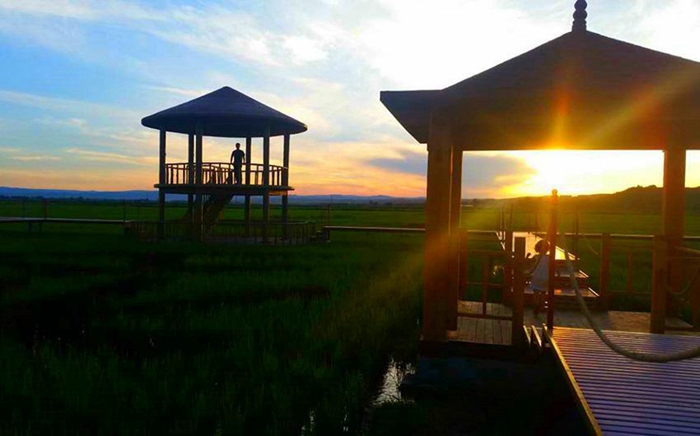 ???? ??? ?? ??? ?? ??, ?? ??? ?? ‘???’