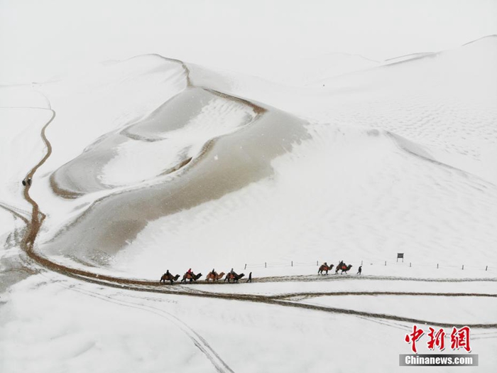 [??: ????? ???(楊艷敏) ??]