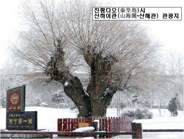 [?? ?? ????] 5A? ??? ???? ????