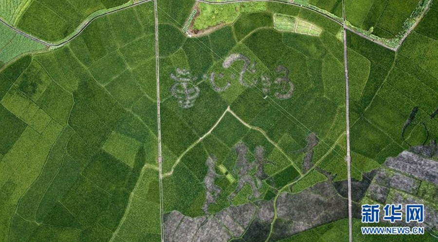 ???? ??? ‘????(童心飛揚(yáng))’ ???? [?? ??=???] 