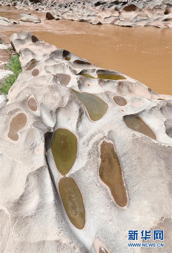 6? 16? ??(四川)? ???(會(huì)東)? ???(鰺魚河)? ??(鐵柳)? ??(火石)? ???? ??? ??? ?? [?? ??: ???]