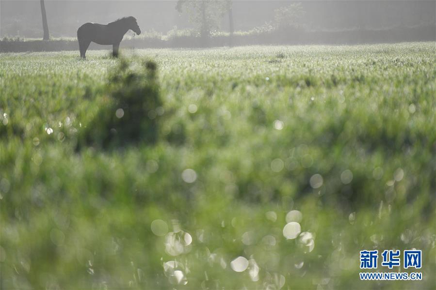 ???(安徽)? ?(黟)? ?(宏)? ???, ?? ?? ??? ?? ??. [?? ??: ???]