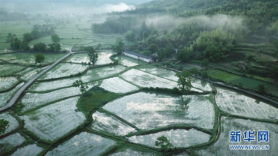 6? 23? ?? ???(安徽)? ?(黟)? ?(宏)? ????? ??? ??? ?? ?? [?? ??: ???]