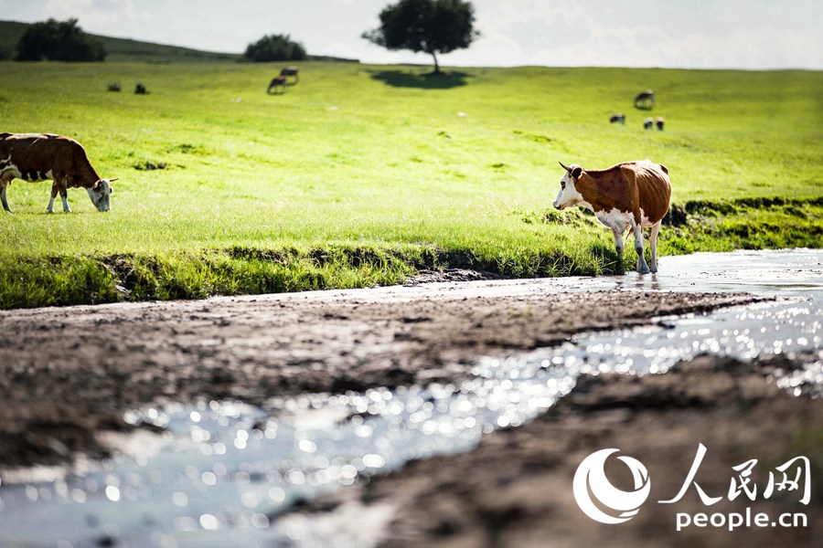 ? ? ??? ????? ?? ?? ??. [?? ??: ??? ??(Tanja)]