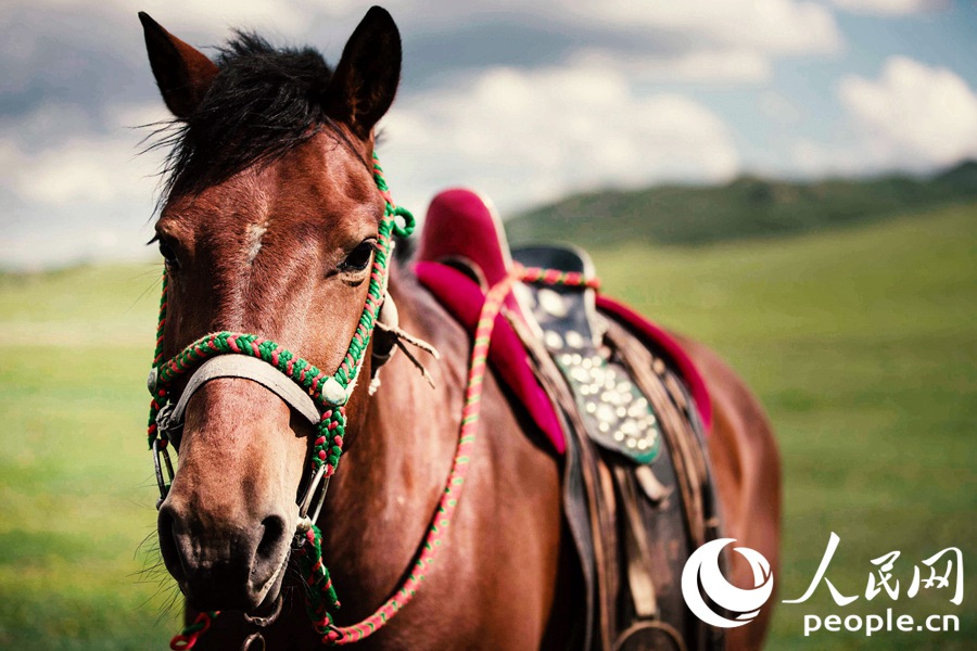 ?? ? ? ??? ???? ??? ??? ??? ??. [?? ??: ??? ??(Tanja)]