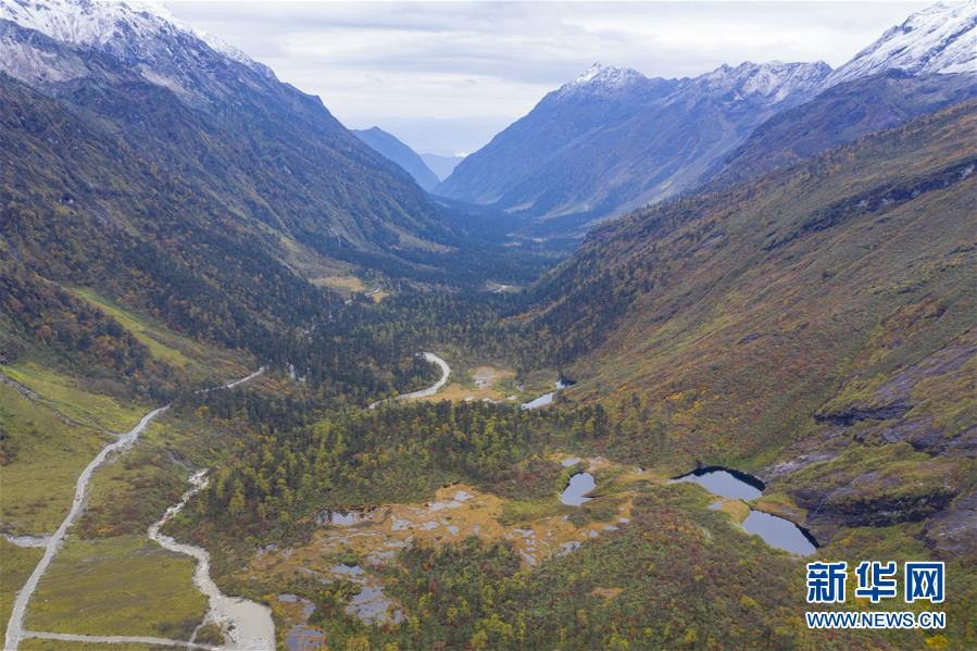 ???(派墨) ??? ?? ?? ? [?? ??: ???]