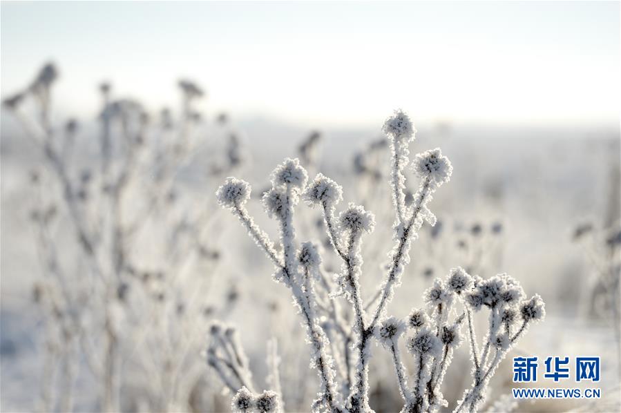 12? 13? ??? ?? ??? ??????? ??? ?? [?? ??: ???]