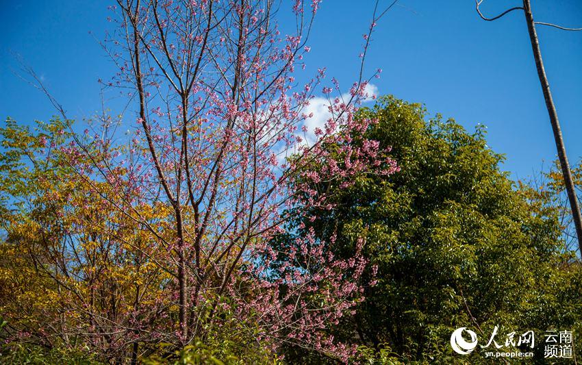 ???? ?? ???? ? ?? ?? [?? ??: ???]