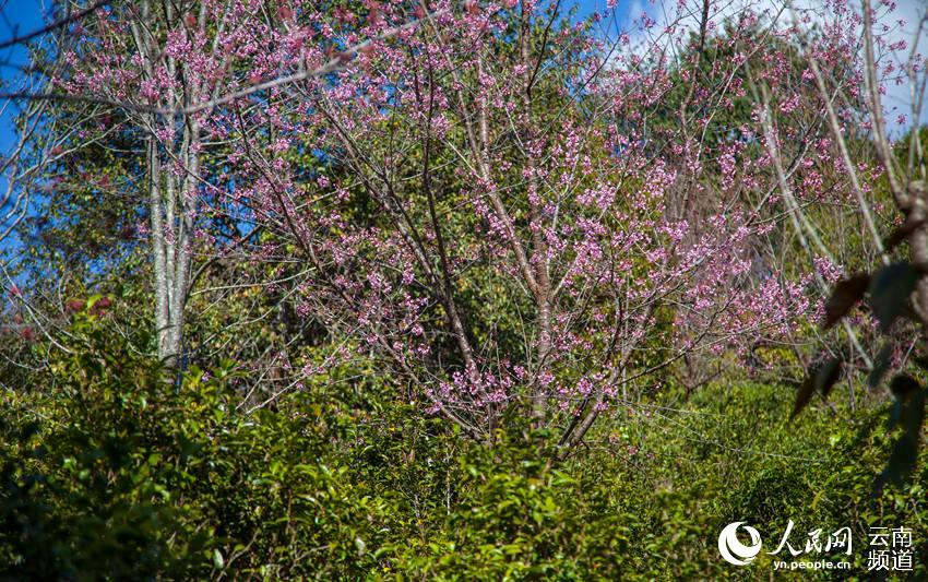 ???? ?? ???? ? ?? ?? [?? ??: ???]