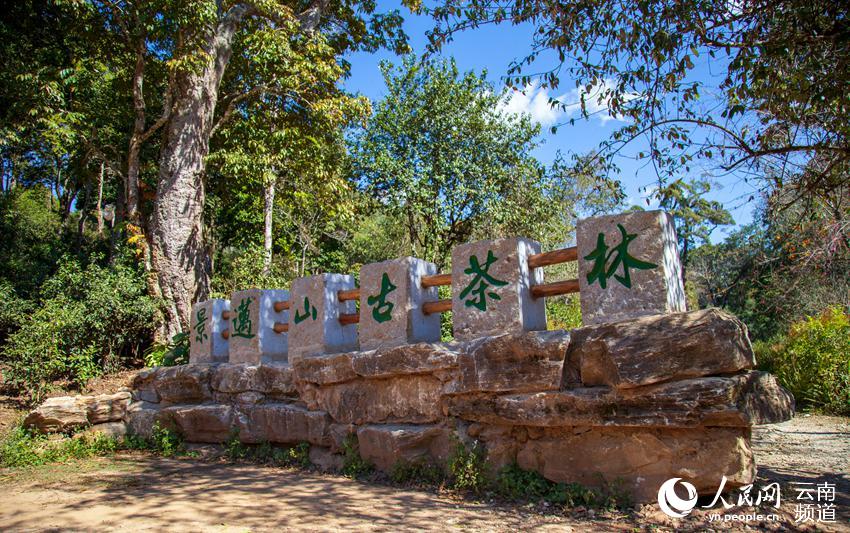 ???? ?? [?? ??: ???]