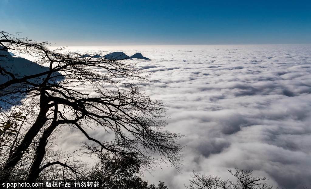 2019? 12? 29? ??? ??? ??? ??? ?? ?? [2019? 12? 29? ??/?? ??: sipaphoto]