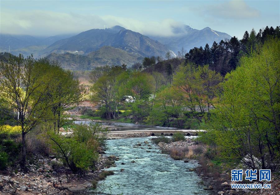 ??? ??? ???? ?????? ?? [3? 29? ??/?? ??: ???]