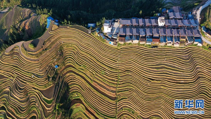 ????? ??? ??? ??? ??? ?? ?? ?? [3? 31? ?? ??/?? ??: ???]