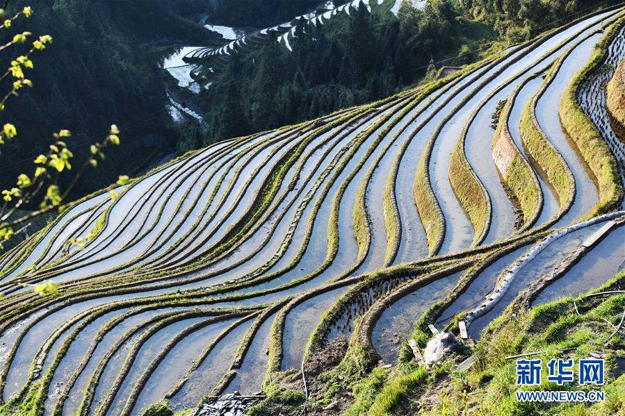 ????? ??? ??? ??? ??? ? [3? 31? ??/?? ??: ???]