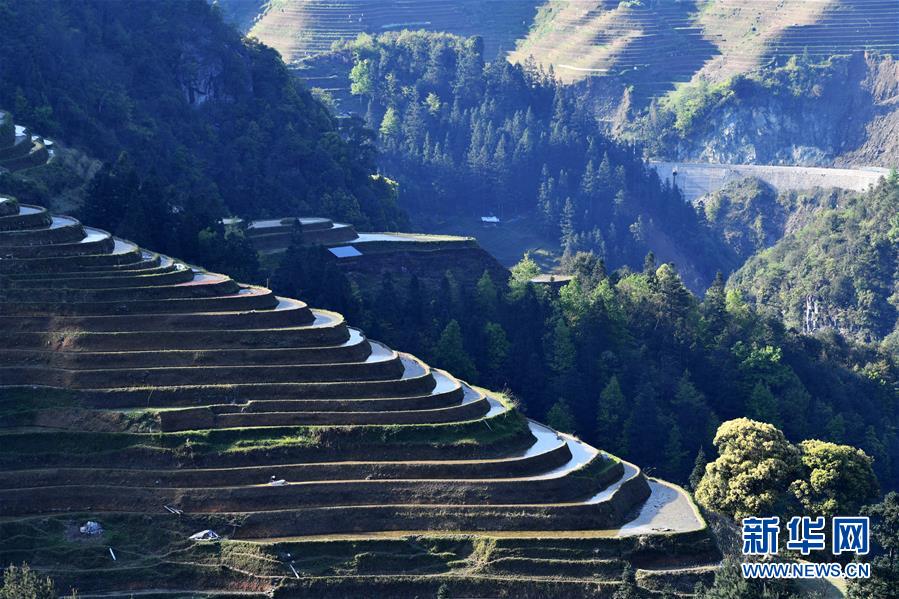 ????? ??? ??? ??? ??? ? [3? 31? ??/?? ??: ???]