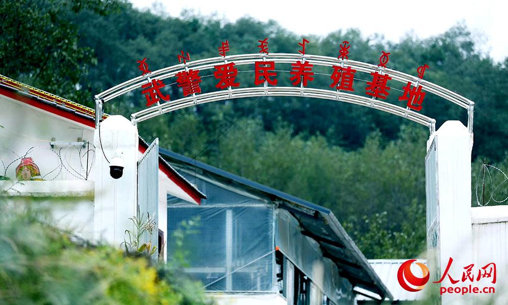 ???? ????? ??? ??? ?? ?? [?? ??: ???]