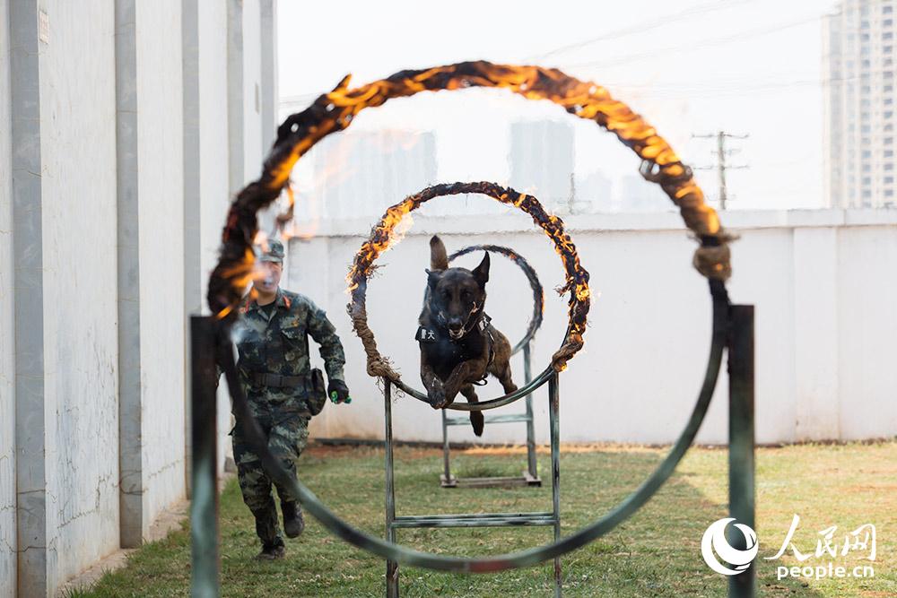 ???? ? ?? ??? ?? ??. [?? ??: ???]