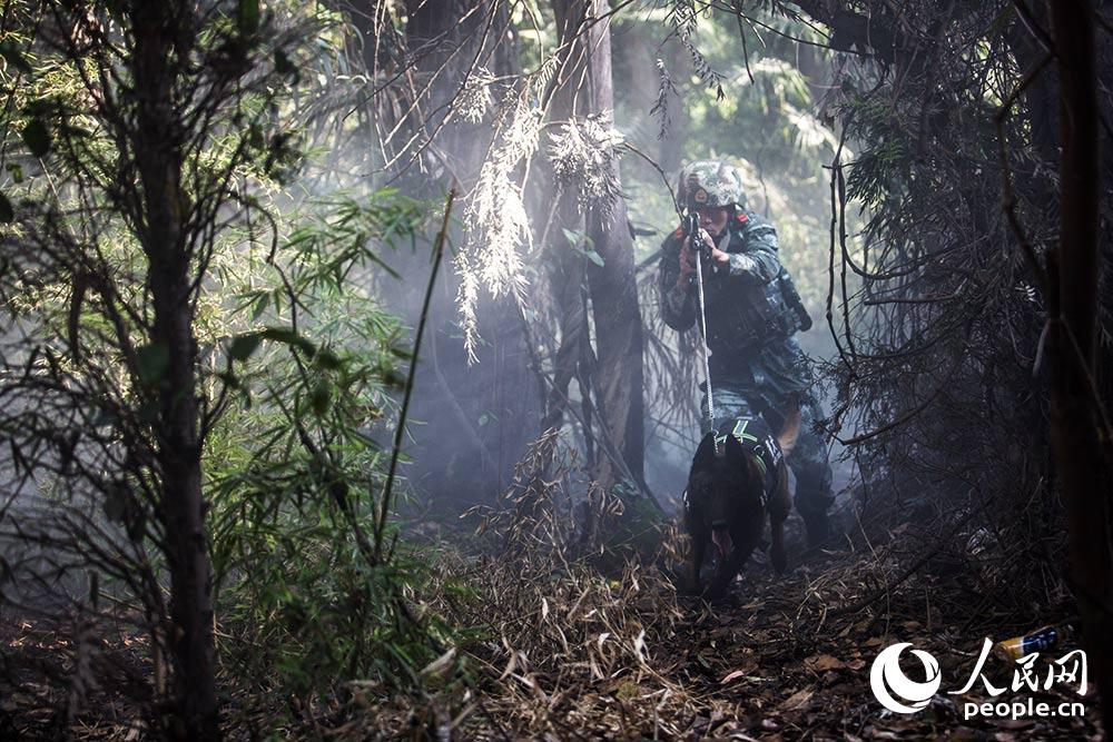 ???? ???? ? ?? ?? ??? ?? ??. [?? ??: ???]