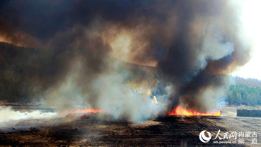 ???? ??? ????. [?? ??: ???]