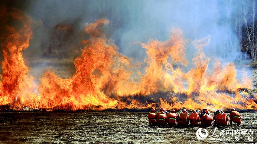 ?? ???? ?? ???? ??. [?? ??: ???]