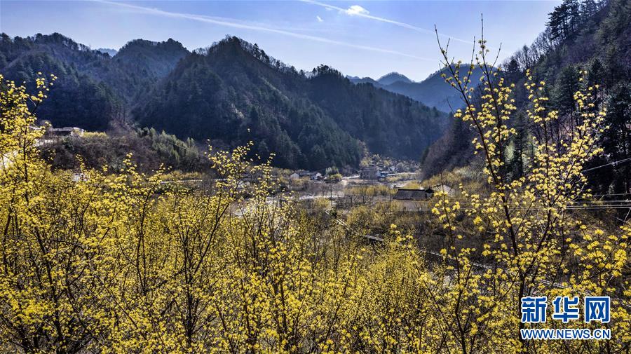 ??(陜西) ??(佛坪)? ????(長角壩)? ??(沙窩)??? ??? ??? ? [3? 7? ??/?? ??: ???]