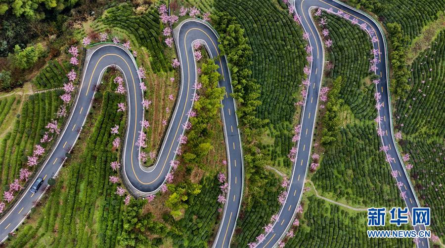 ?? ??(平利)? ??(長安)? ???(洪福茶)? ?? ??? ? ??? ?? ??. [3? 2? ?? ??/?? ??: ???]