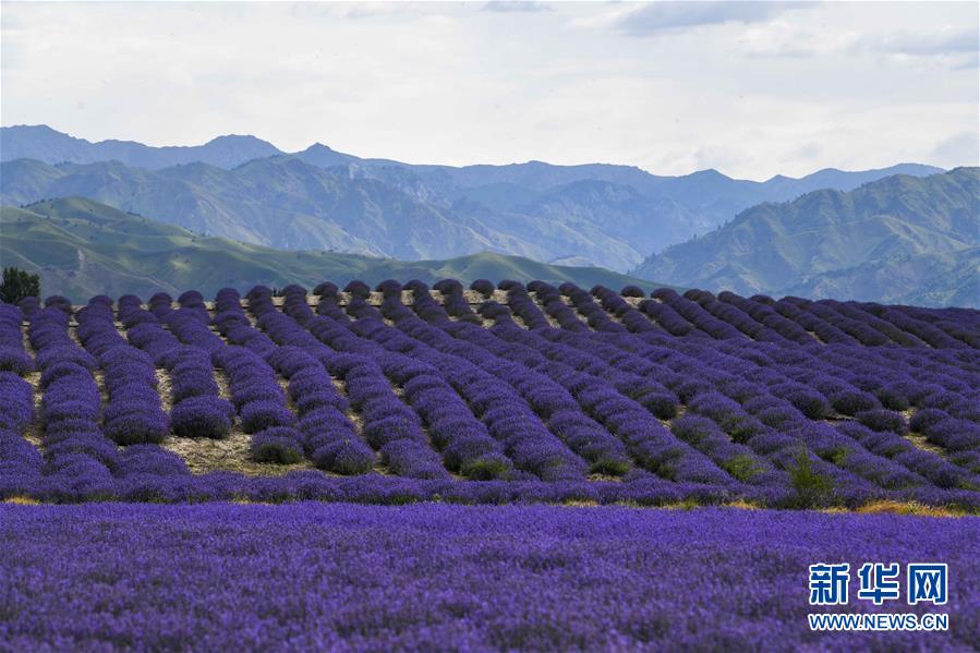 ??? ??? ?? [6? 16? ??/?? ??: ???]