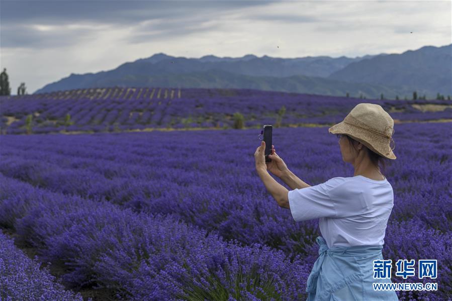 ????? ??? ??? ???? ????? ???. [6? 16? ??/?? ??: ???]