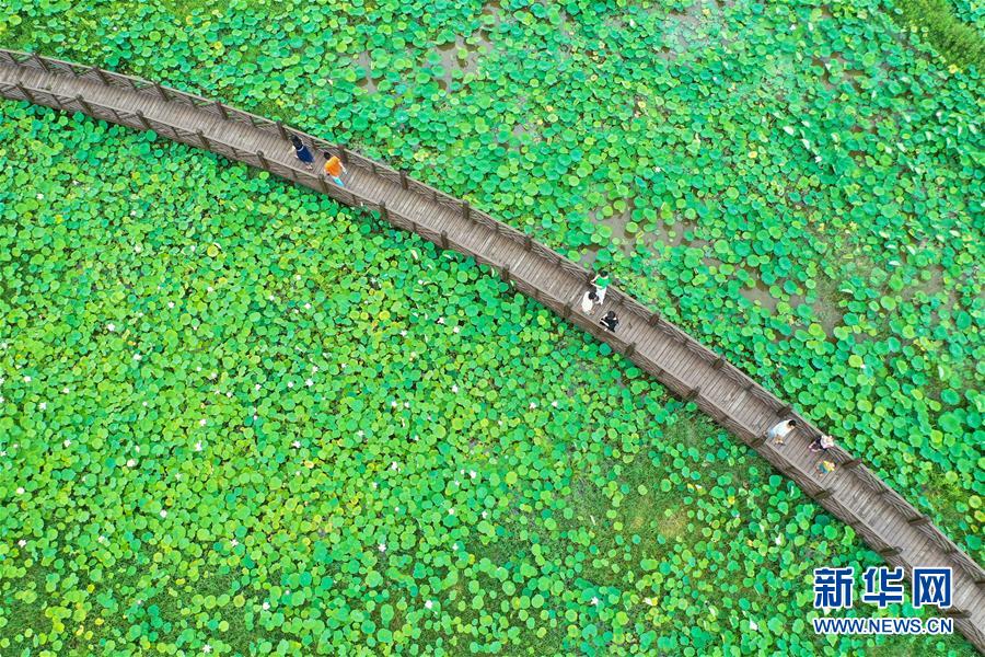 ?? ?? ??? ??? 4880?? ??