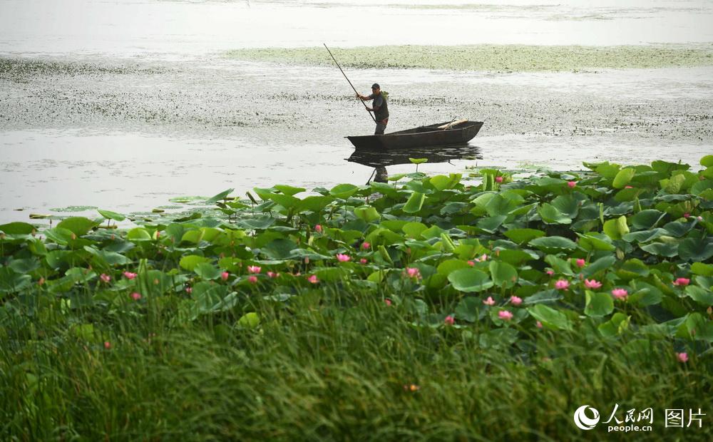 ?? ?? ??(駱馬)?? ?? [?? ??: ???]