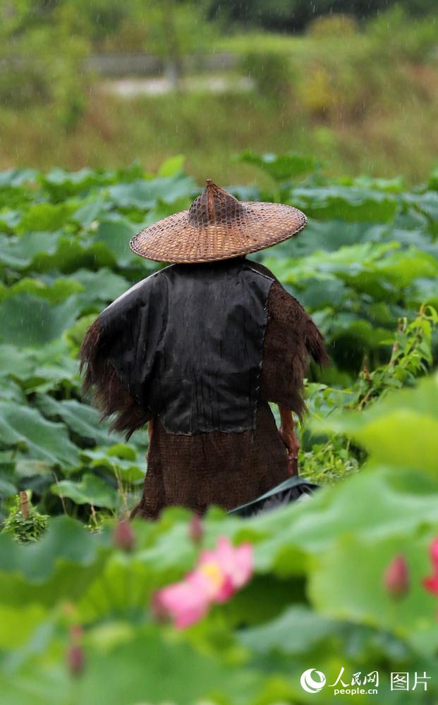 ??(湖南) ??(新田) ???(談文溪)? ??, ???????(一蓑煙雨任平生: ??? ? ???? ? ?? ???) [?? ??: ???]