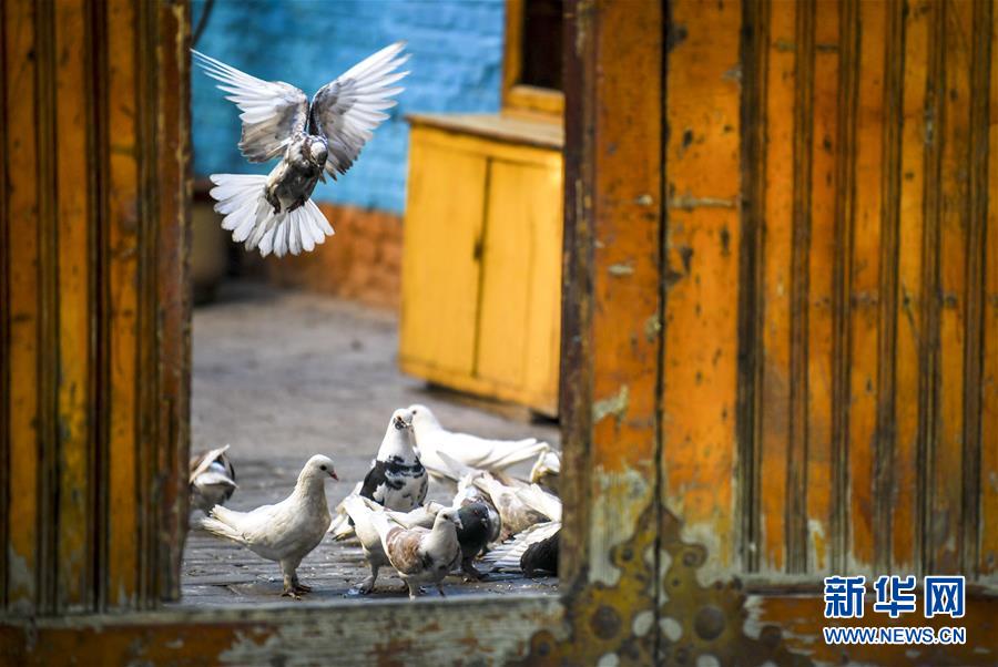 ????? ??? ?? ? ??? [7? 5? ??/?? ??: ???]