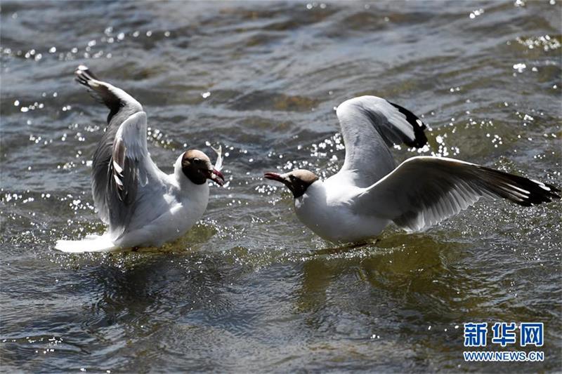 ???????? ??? ??? ???. [7? 29? ??/?? ??: ???]