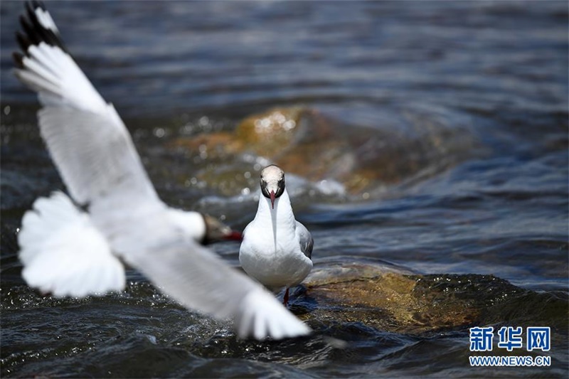 ???????? ??? ??. [7? 29? ??/?? ??: ???]