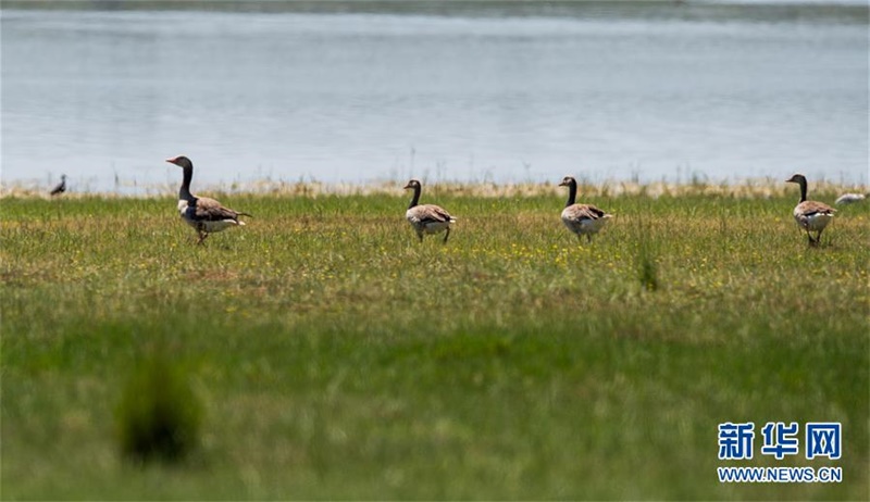 ?????? ?????—???? ????? ??? ???. [7? 28? ??/?? ??: ???]