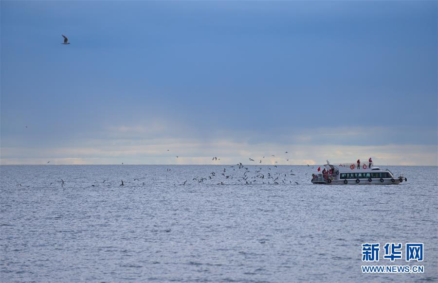 8? 4?, ????? ????? ?? ??.