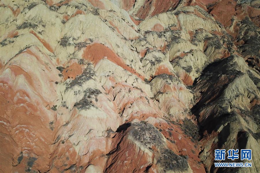 ??? ??? ?? ??? [11? 6? ?? ??/?? ??: ???].